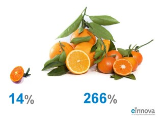 eshow2014fruiting-2