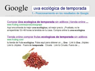 iniciaryconsolidartunegocio-32